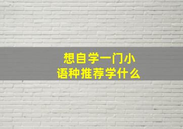 想自学一门小语种推荐学什么