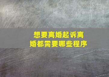 想要离婚起诉离婚都需要哪些程序