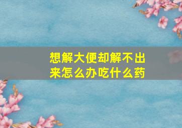 想解大便却解不出来怎么办吃什么药