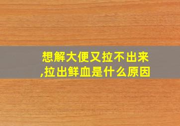 想解大便又拉不出来,拉出鲜血是什么原因