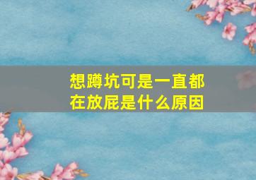 想蹲坑可是一直都在放屁是什么原因