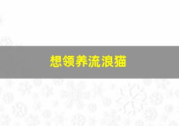 想领养流浪猫