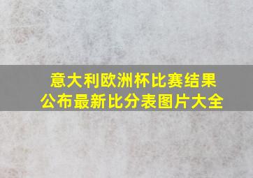 意大利欧洲杯比赛结果公布最新比分表图片大全