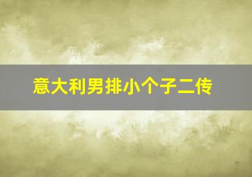 意大利男排小个子二传