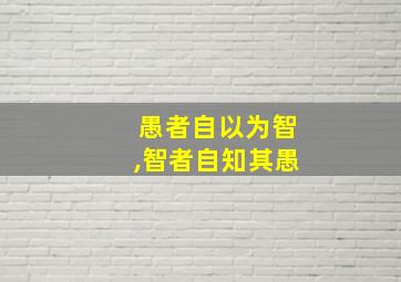 愚者自以为智,智者自知其愚