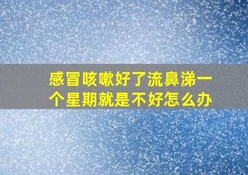 感冒咳嗽好了流鼻涕一个星期就是不好怎么办