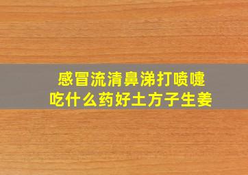 感冒流清鼻涕打喷嚏吃什么药好土方子生姜