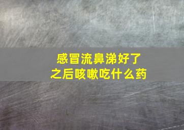 感冒流鼻涕好了之后咳嗽吃什么药