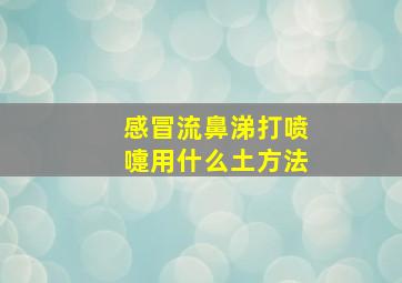 感冒流鼻涕打喷嚏用什么土方法