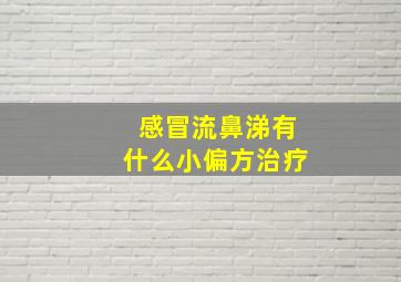 感冒流鼻涕有什么小偏方治疗