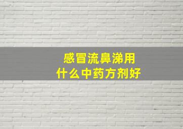 感冒流鼻涕用什么中药方剂好