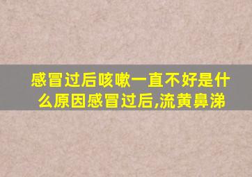 感冒过后咳嗽一直不好是什么原因感冒过后,流黄鼻涕