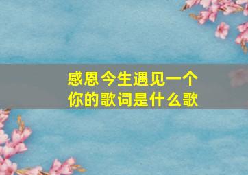 感恩今生遇见一个你的歌词是什么歌