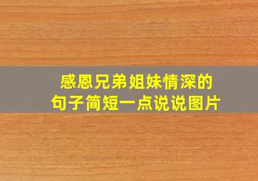 感恩兄弟姐妹情深的句子简短一点说说图片