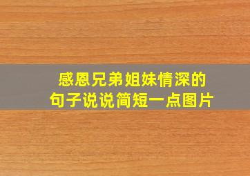 感恩兄弟姐妹情深的句子说说简短一点图片