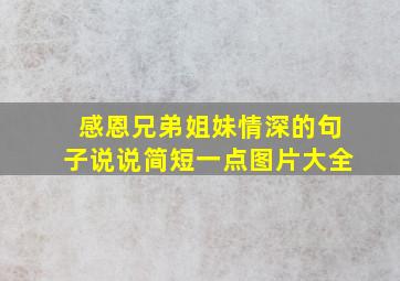 感恩兄弟姐妹情深的句子说说简短一点图片大全