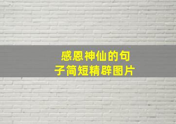 感恩神仙的句子简短精辟图片