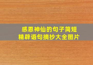 感恩神仙的句子简短精辟语句摘抄大全图片