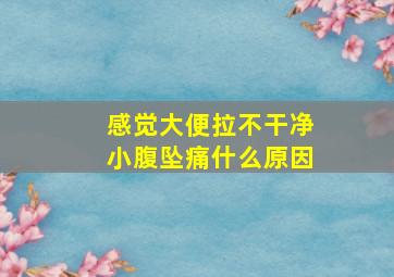 感觉大便拉不干净小腹坠痛什么原因