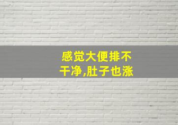 感觉大便排不干净,肚子也涨