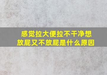 感觉拉大便拉不干净想放屁又不放屁是什么原因