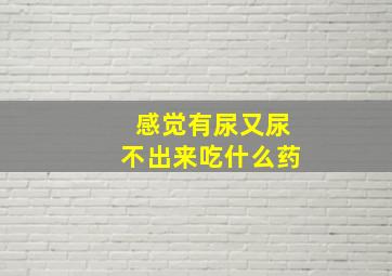 感觉有尿又尿不出来吃什么药