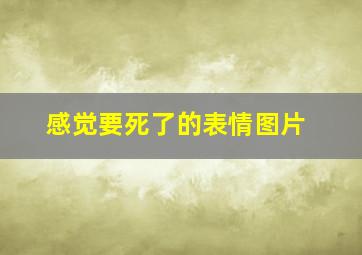 感觉要死了的表情图片