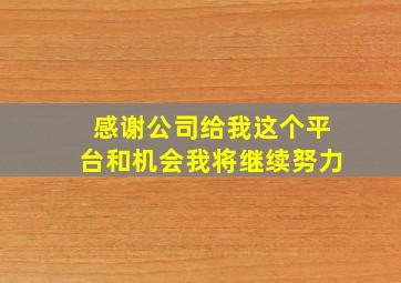 感谢公司给我这个平台和机会我将继续努力