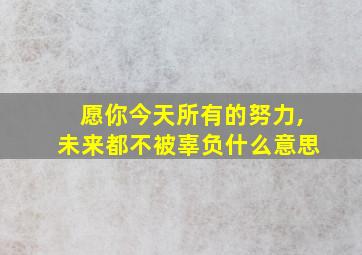 愿你今天所有的努力,未来都不被辜负什么意思