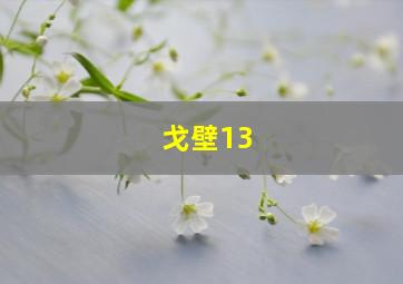 戈壁13