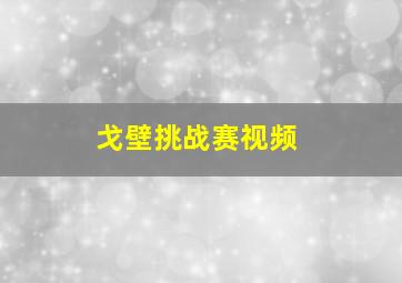 戈壁挑战赛视频