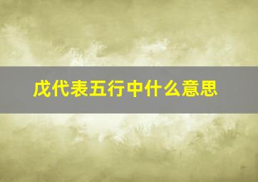 戊代表五行中什么意思