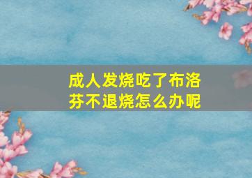 成人发烧吃了布洛芬不退烧怎么办呢