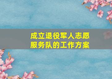 成立退役军人志愿服务队的工作方案