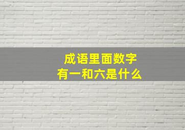 成语里面数字有一和六是什么