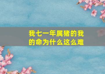 我七一年属猪的我的命为什么这么难