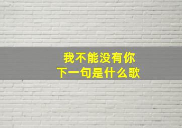 我不能没有你下一句是什么歌