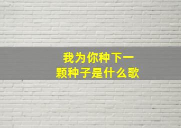 我为你种下一颗种子是什么歌