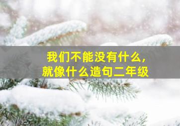 我们不能没有什么,就像什么造句二年级