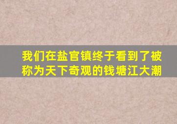 我们在盐官镇终于看到了被称为天下奇观的钱塘江大潮