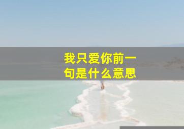 我只爱你前一句是什么意思