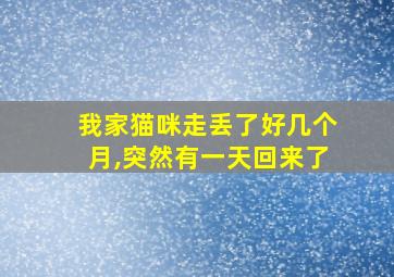 我家猫咪走丢了好几个月,突然有一天回来了