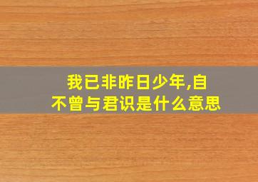 我已非昨日少年,自不曾与君识是什么意思