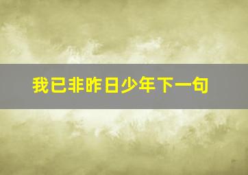 我已非昨日少年下一句