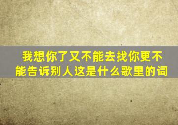 我想你了又不能去找你更不能告诉别人这是什么歌里的词