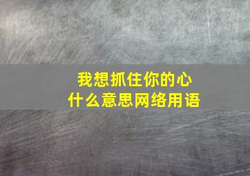 我想抓住你的心什么意思网络用语