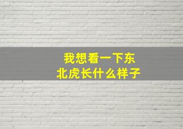 我想看一下东北虎长什么样子