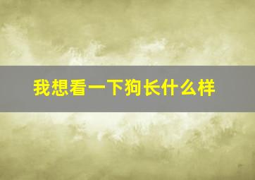 我想看一下狗长什么样