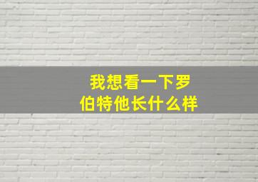 我想看一下罗伯特他长什么样