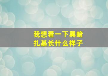 我想看一下黑暗扎基长什么样子